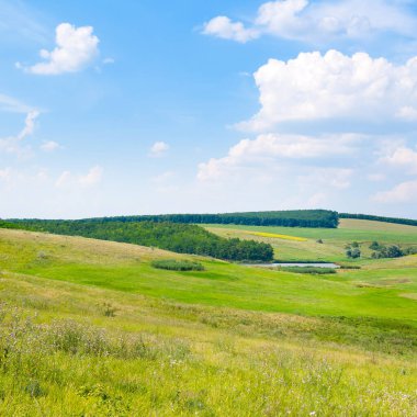 Tepe üzerinde yeşil çayır (çayır).
