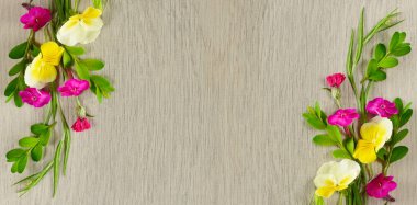 Güzel gri bir arkaplanda fenomen ve menekşe deseni. Sevgililer Günü 'nü kutlarım. Tebrik metninin bir yeri var. Geniş resim.