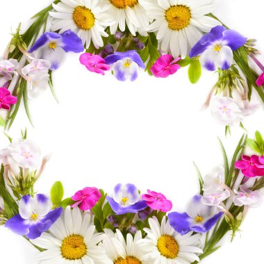 Floral pattern of daisies, phloxes, violets isolated on white background. Beautiful frame with free space for text. Collage.