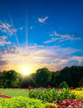 Beautiful urban garden with a flower garden and sunrise. Vertical photo.