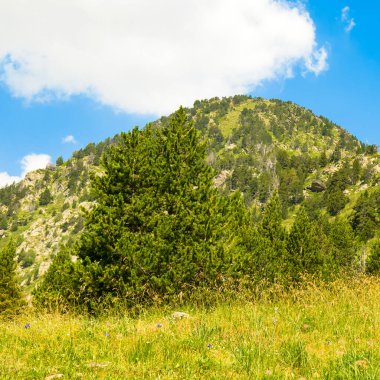 Picturesque mountains of the Pyrenees in Andorra in summer.