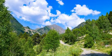 Pyrenees mountains in Andorra, forest and hiking trail. Wide photo.
