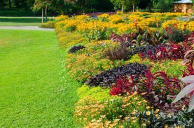 Beautiful garden with a flowers on flowerbed and a lawn.