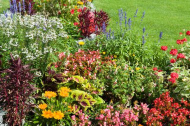 A bright flowerbed and green lawn. clipart
