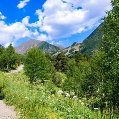 Picturesque mountain landscape. Summer, bright sunny day in the Pyrenees, Andorra.