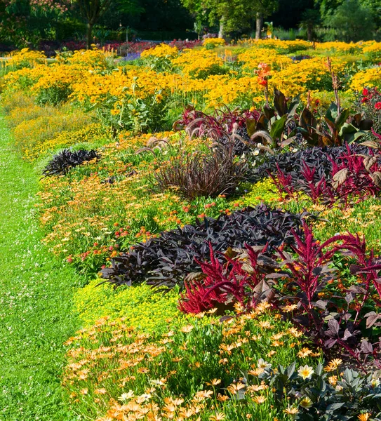 Beautiful Garden Flowers Flowerbed Lawn — ストック写真