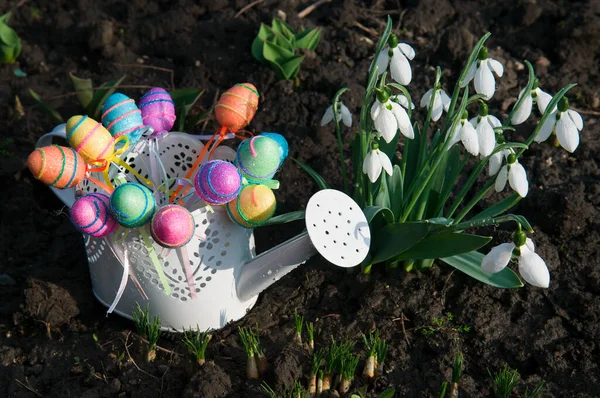 Bucaneve Uova Pasqua Decorative Annaffiatoio Bianco — Foto Stock