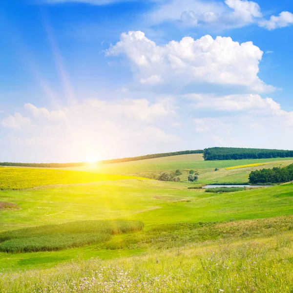Prado Verde Pastagem Uma Paisagem Montanhosa Céu Com Sunise Brilhante — Fotografia de Stock