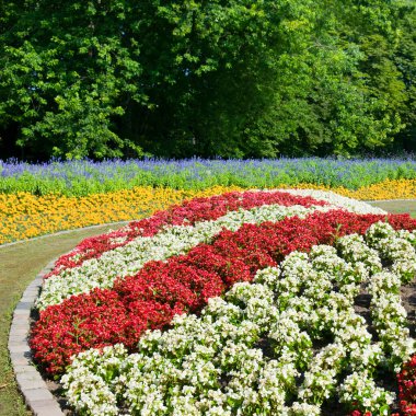 Beautiful garden with a flowers on flowerbed and a lawn.