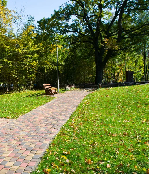 Piękny Jesienny Ogród Drewnianymi Ławkami Zielonym Trawnikiem — Zdjęcie stockowe