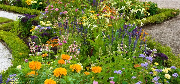 A beautiful flowerbed in the city garden. Wide photo.
