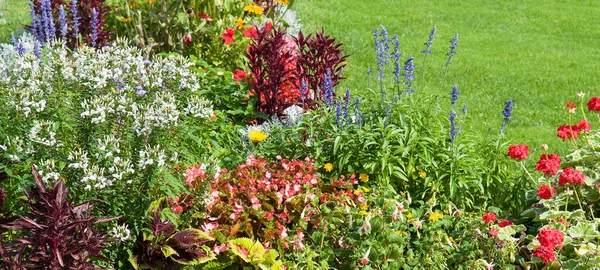 Bright flowerbed and green lawn. Wide photo.