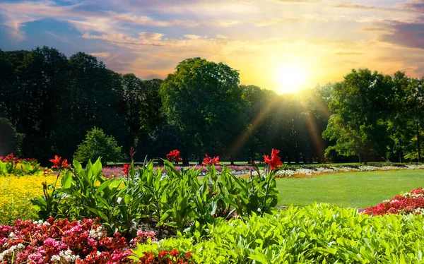 Schöner Stadtgarten Mit Blumengarten Und Sonnenaufgang — Stockfoto