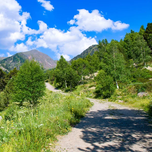 Landschaftliche Berglandschaft Sommer Sonniger Tag Den Pyrenäen Andorra — Stockfoto