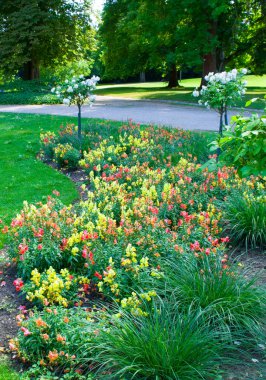 Beautiful urban garden with a flower garden and a lawn. Vertical photo.