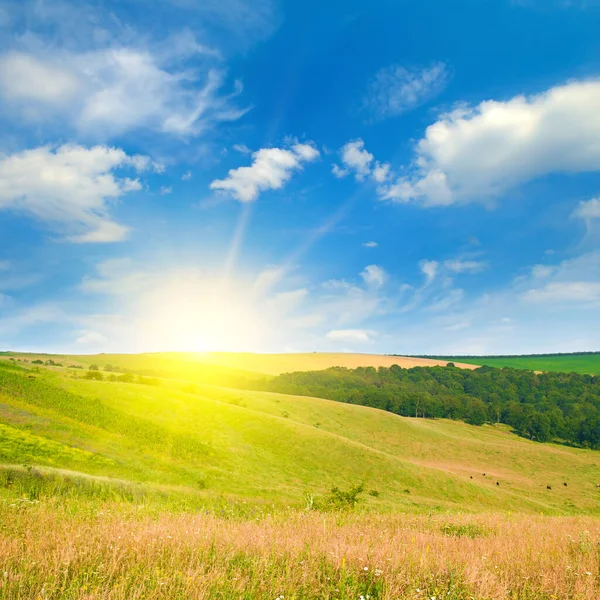 Green Meadow Grassland Hilly Landscape Sky Bright Sunise Wide Photo — Photo
