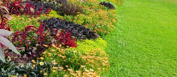Bright Flower Bed Green Lawn Wide Photo — Stock Photo, Image
