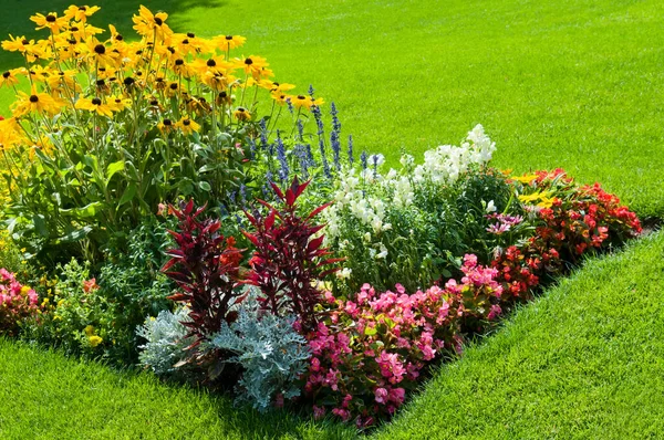 明るい花壇と緑の芝生 ストック写真