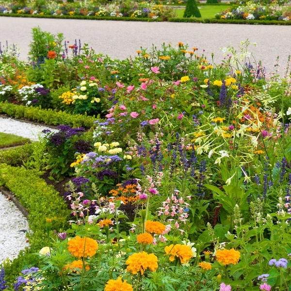 Bright Flower Bed Walking Paths — Stock Photo, Image