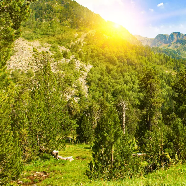 Piękny Wschód Słońca Letnich Górach Andora Pireneje — Zdjęcie stockowe