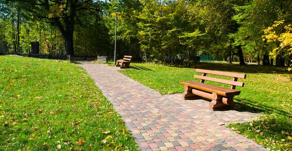 Krásná Podzimní Zahrada Dřevěnými Lavicemi Zeleným Trávníkem Široká Fotografie — Stock fotografie