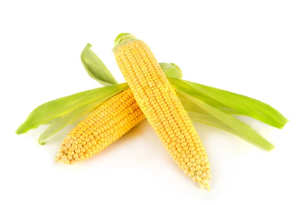 Corn Cob Isolated White Background — Stock Photo, Image