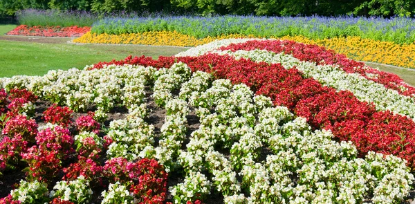 Hermoso Jardín Con Flores Parterre Césped Foto Amplia —  Fotos de Stock