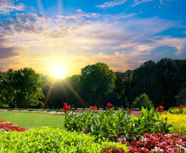 Beautiful urban garden with a flower garden and sunrise.