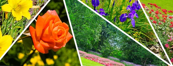 Photo Collage Summer Gardens Flower Gardens Flowers Wide Photo — Stock Photo, Image