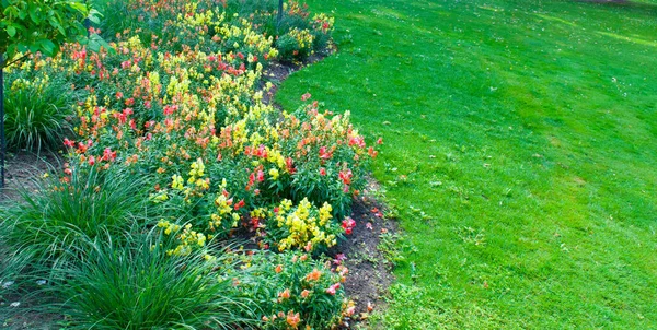 Beautiful Garden Flower Garden Lawn Wide Photo — Stock Photo, Image