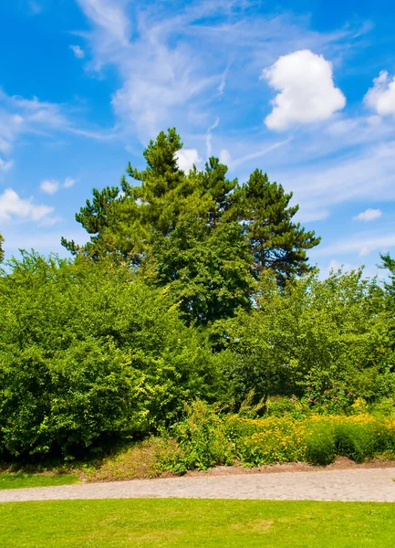 Giardino Con Arbusti Aiuole Prato Foto Verticale — Foto Stock