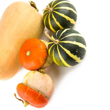 Beyaz arka planda izole edilmiş balkabakları. Metin için boş alan.