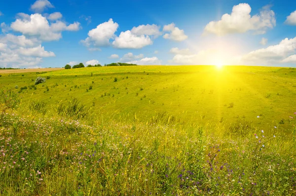 Grüne Wiese Grasland Auf Einer Hügeligen Landschaft Und Himmel Mit — Stockfoto