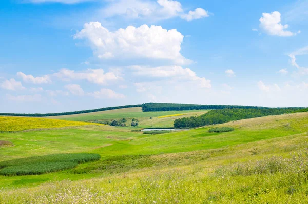 Groene Weide Weide Een Heuvelachtig Landschap — Stockfoto