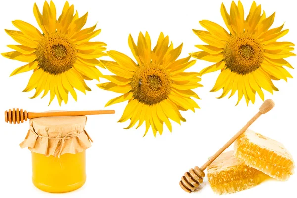 瓶の中の天然蜂の蜂蜜 白い背景に隔離されたハニカムとひまわりの花 テキストのための無料スペース コラージュ — ストック写真