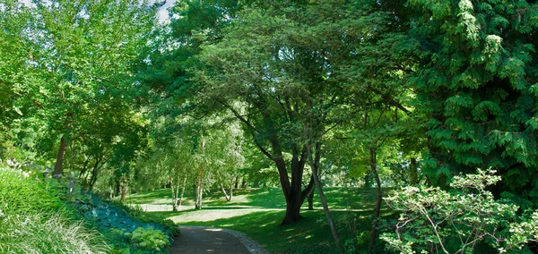 Beau Jardin Urbain Avec Des Allées Pour Les Promenades Une — Photo