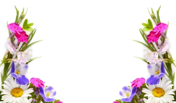 Muster Von Gänseblümchen Phlox Und Veilchen Isoliert Auf Weißem Hintergrund — Stockfoto