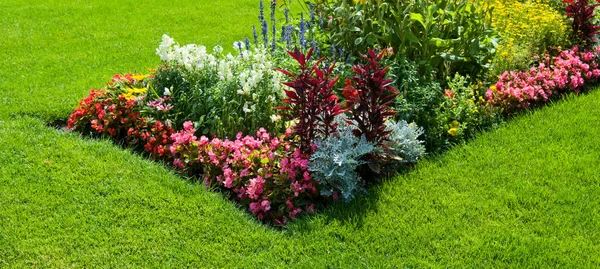 Bright Flowerbed Green Meadow City Garden Wide Photo — Stock Photo, Image