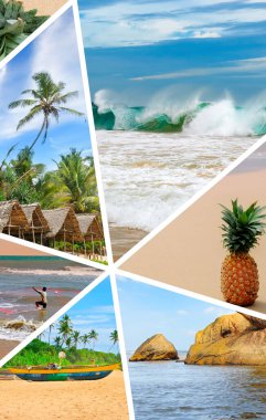 Photo collage of tropical landscapes located in mosaic. Concept - vacation and travel. Vertical photo. clipart