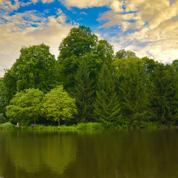 絵のように美しい湖 夕方の落葉樹林 — ストック写真