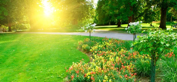 Beautiful Summer Garden Bright Sunrise Wide Photo — Stock Photo, Image