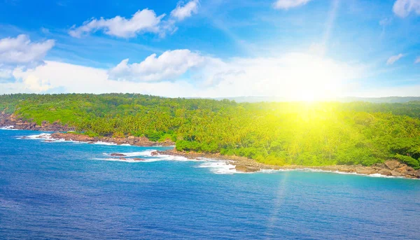 海岸と明るい太陽の下でヤシの木と熱帯のビーチ 上からの眺め 広い写真 — ストック写真