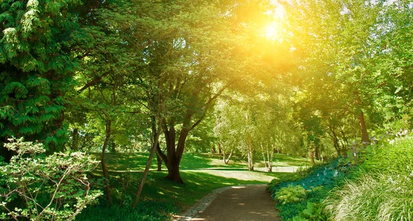 Yürüyüşler Çimenler Için Yürüyüş Yolları Olan Güzel Bir Şehir Bahçesi — Stok fotoğraf