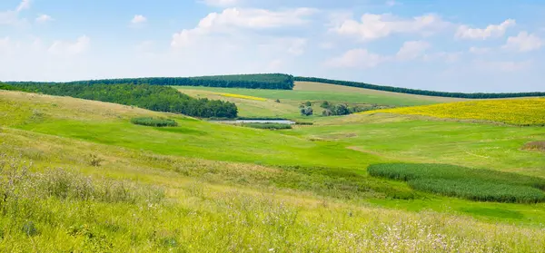 緑色の牧草地 牧草地 が丘陵地帯に広がっています ワイドフォト — ストック写真