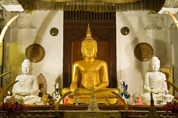 Buddha Statue Tempel Der Zahnreliquie Sri Lanka — Stockfoto