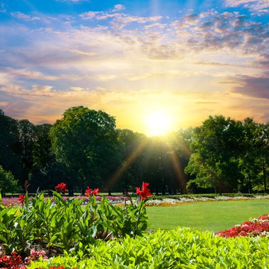 Güzel bir yaz bahçesi ve parlak bir gün doğumu..