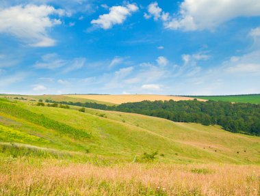 Tepe yeşil tarla, çayır, çayır ve mavi gökyüzü.