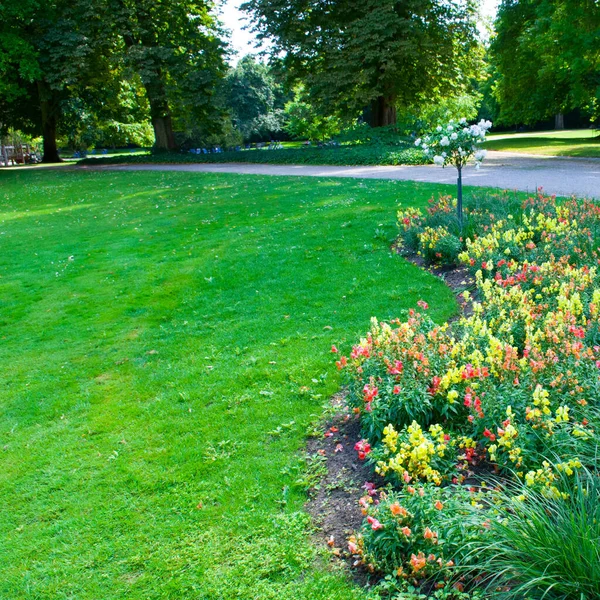 花の庭と芝生のある美しい都市の庭 — ストック写真
