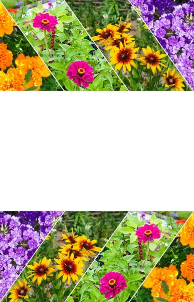 庭の花のコラージュ写真 テキストのための自由なスペースの美しいフレーム 縦の写真 — ストック写真