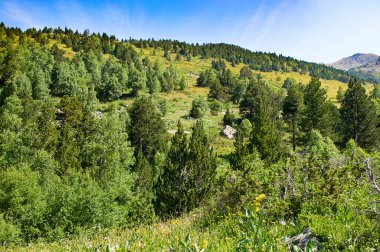 Ormanları ve çayırları olan görkemli dağ yamaçları. Andorra, yaz..